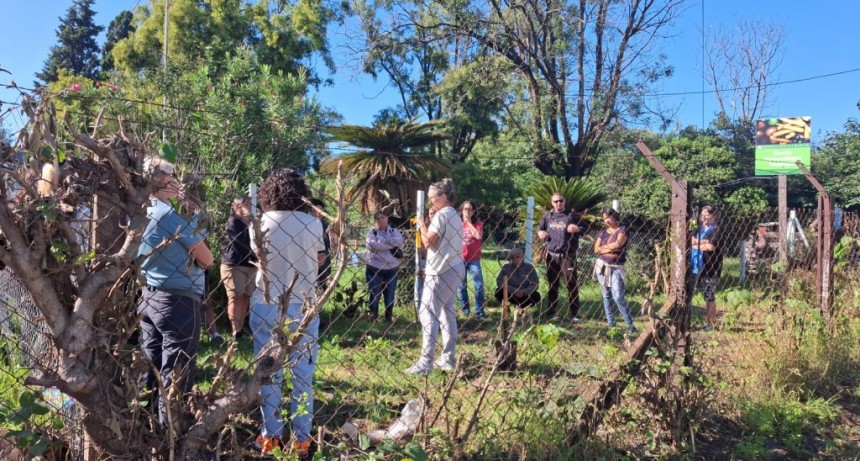 “Huerta en Casa”: se entregarán semillas de la temporada primavera-verano