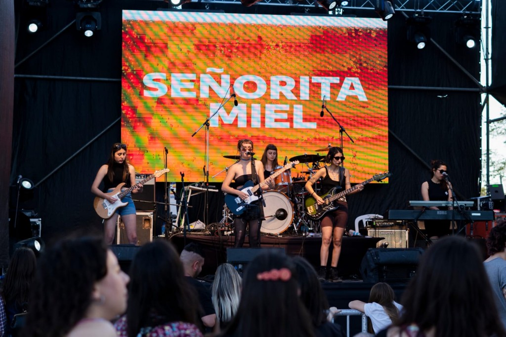 El Municipio confirmó la grilla de artistas para la Fiesta de la Cerveza