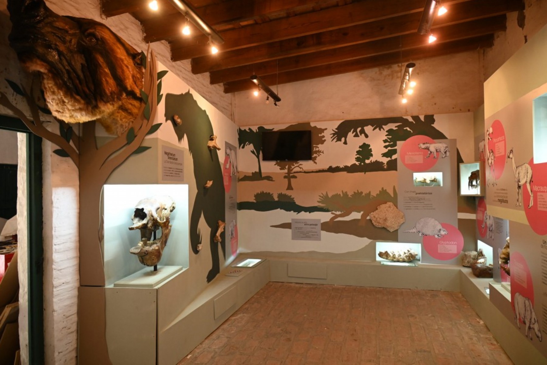 La sala José Mignone del Museo Casa Ameghino se renovará completamente