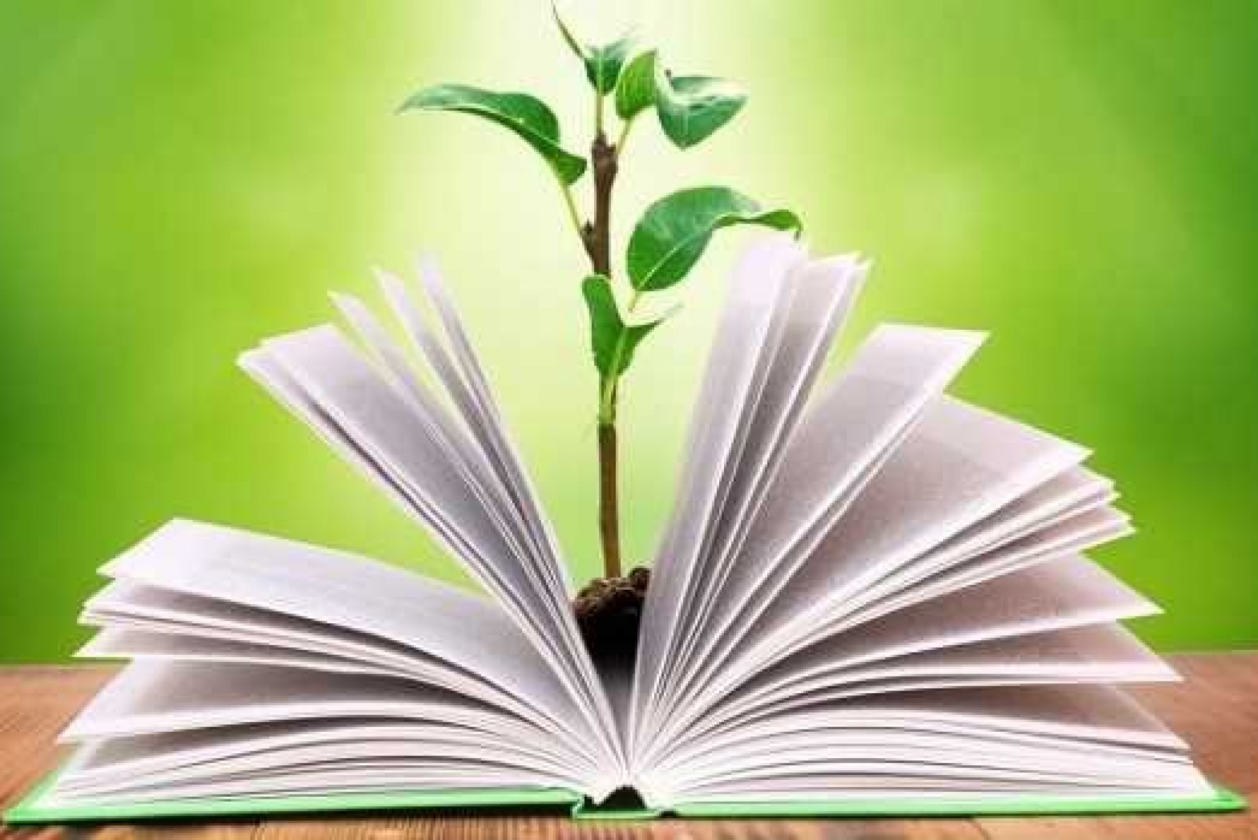 Día Internacional de la Educación 2025: ¿cuáles son desafíos en tiempos de cambio global?