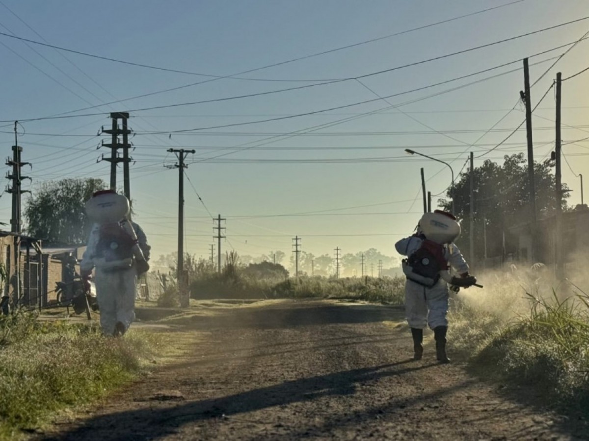 El Municipio inició campaña de fumigación para prevenir el Dengue