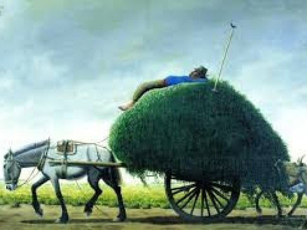 Se despide la muestra "Molina Campos: Trazos en la Intimidad" en el Museo Udaondo