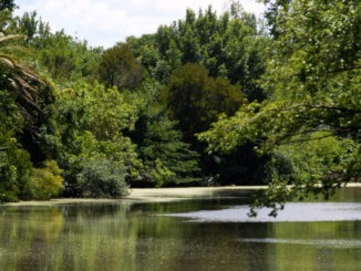 El Municipio realizará una serie de actividades para conmemorar el Mes del Ambiente