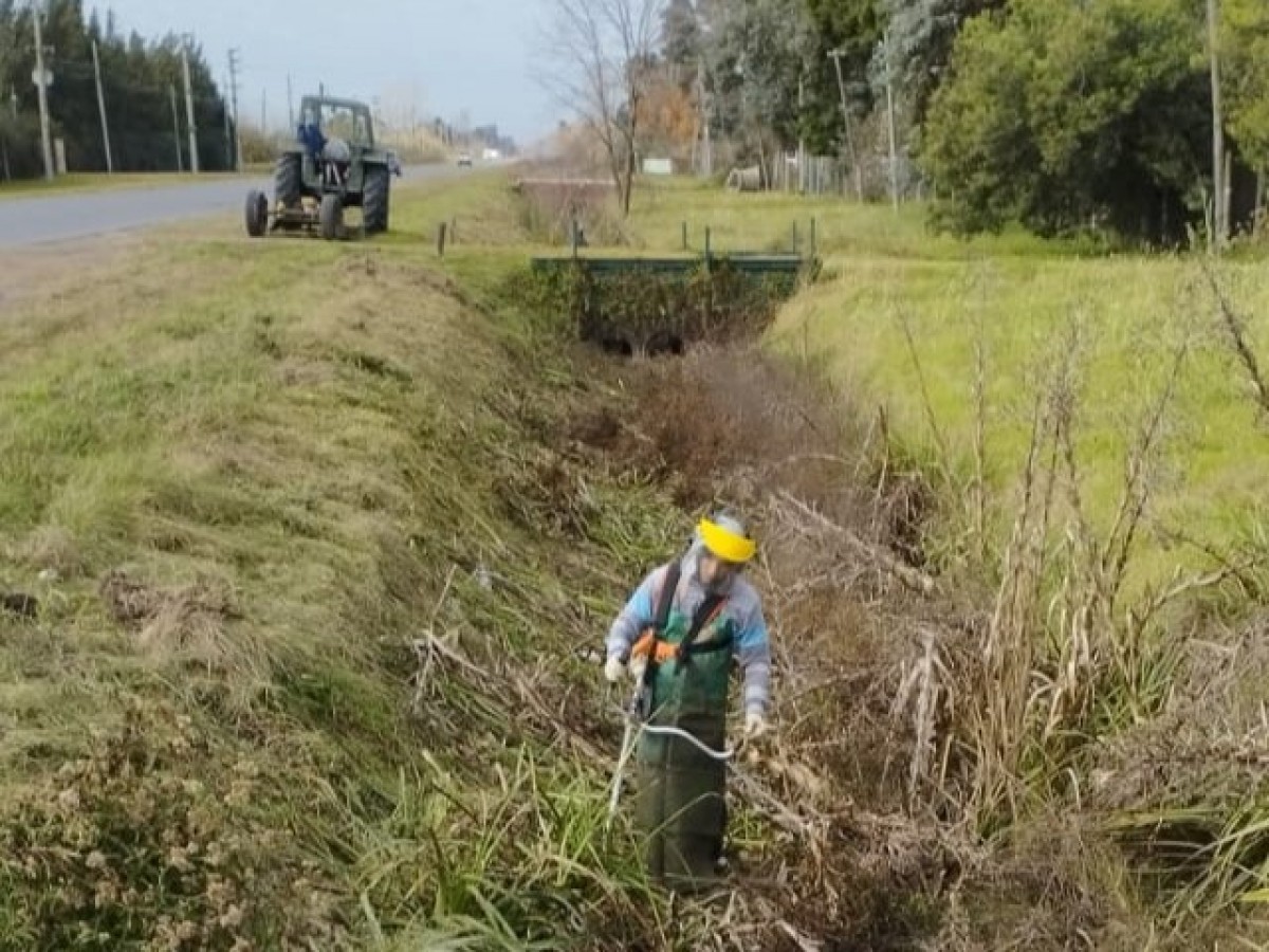 Torres: trabajos de limpieza y desmalezamiento de zanjas en Ruta 192
