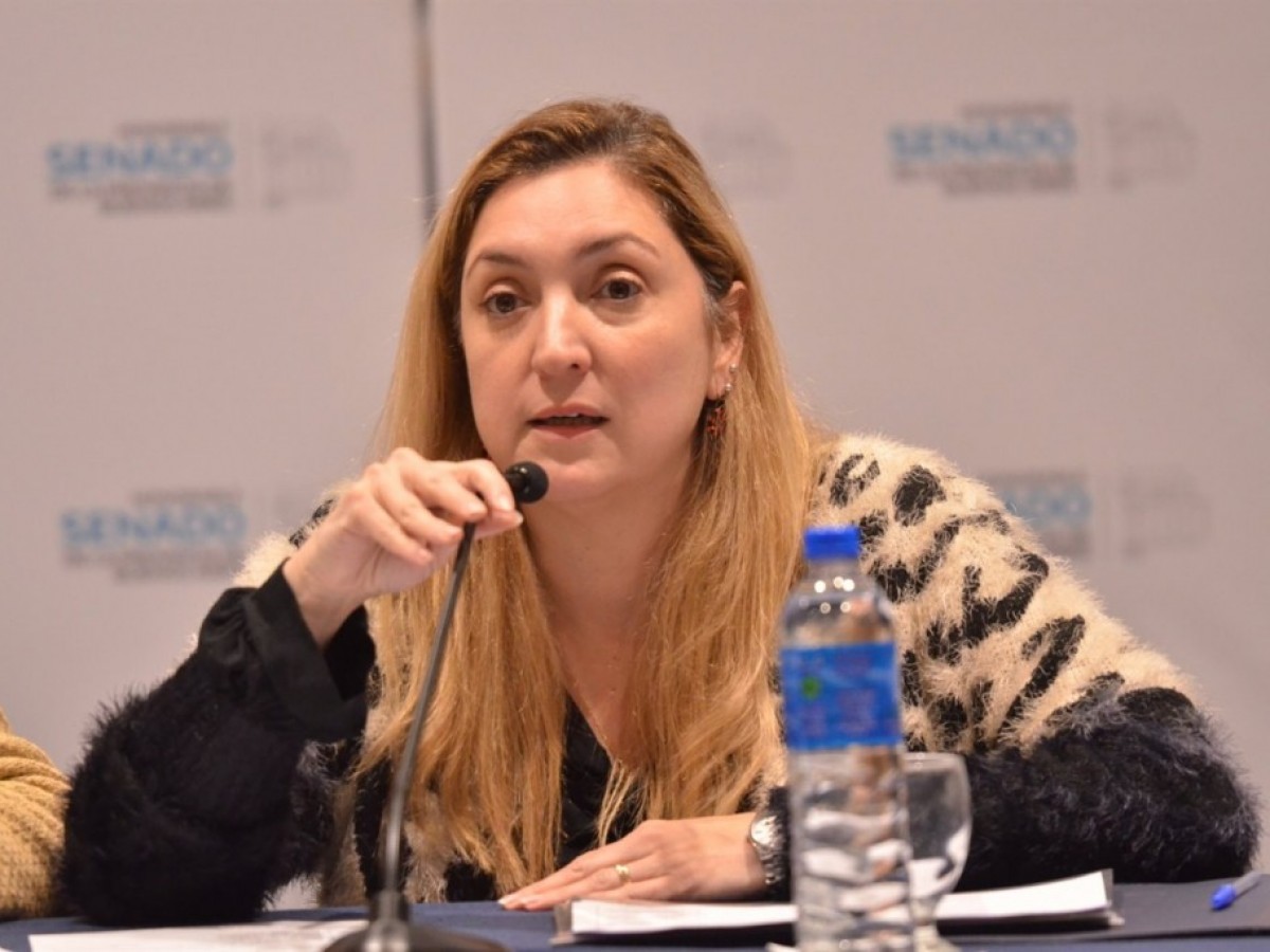 Ahumada repudió la eliminación de la repitencia en escuelas secundarias: “Compromete la formación”.