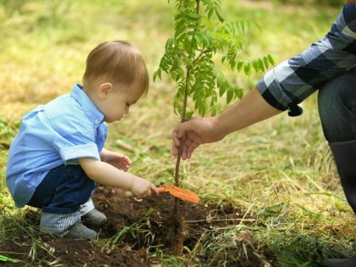 Ambiente: el Municipio lanzó la campaña “Un nacimiento, un árbol”
