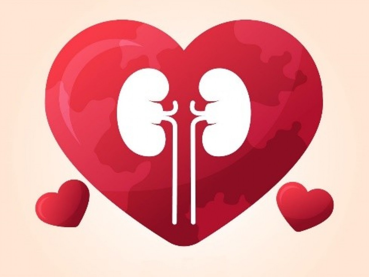 29/09 - Día Mundial del Corazón. Protege tu corazón cuidando tus riñones